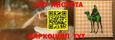 apvp Партизанск