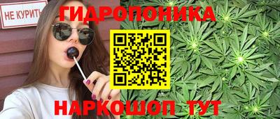 молекула духа Пенза