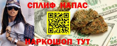прущие грибы Обнинск
