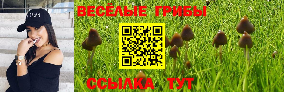 Галлюциногенные грибы мицелий  Галлюциногенные грибы Psilocybine cubensis  Партизанск  Вход с VPN 